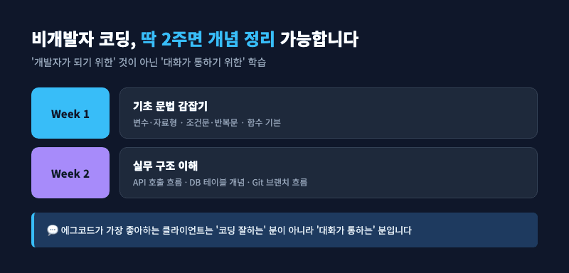 비개발자 코딩 2주 학습 로드맵